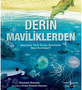 Derin Maviliklerden