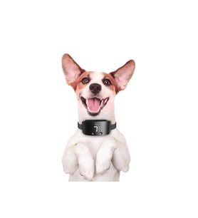 DOGGİE HAVLAMA ÖNLEYİCİ EĞİTİM TASMASI SİYAH