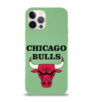 Apple iPhone 12 Pro Max  Lansman Kılıf Chicago Bulls Tasarımlı Altı Kapalı İçi Kadife Kaplı  Kapak (Şeffaf)
