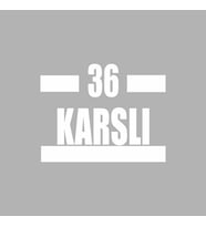 36 Karslı Araba Sticker siyah 16x9 CM (Beyaz)