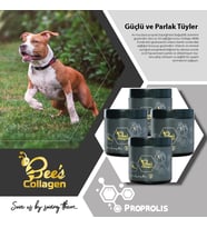 Bee's Collagen Köpek Propolis 4li Set