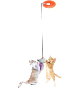 VANTUZLU KEDİ OLTASI KEDİ OYUNCAĞI