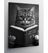 Kanvas Tablo Kitap Okuyan Kedi