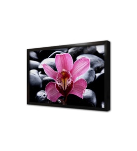 Spa Taşları ve Orkide Çerçeveli Mdf Tablo