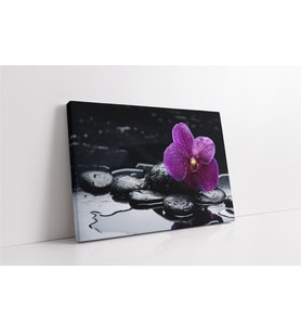 Spa Taşları ve Orkide (A.ALTIN)