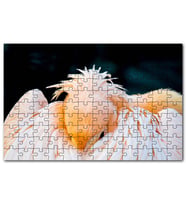 Cakapuzzle Kanatları Arasına Gömülmüş Pelikan Çekim Puzzle Yapboz MDF (Ahşap) (120 Parça)