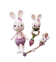 Tavşan Sunny ve Çileği Yeni Doğan Seti Amigurumi Organik Oyuncak