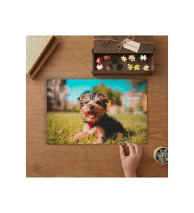 Çimenlerde Oturan Sevimli Köpek Tasarımı 240 parça Ahşap Puzzle Ahşap Kutuda MP02038
