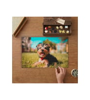 Çimenlerde Oturan Sevimli Köpek Tasarımı 240 parça Ahşap Puzzle Ahşap Kutuda MP02038