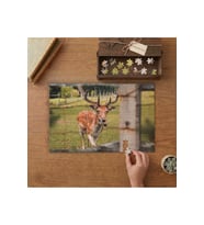 Geyik - Yabani Hayvan Tasarımı 240 parça Ahşap Puzzle Ahşap Kutuda MP01793