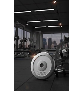 50 KG Dambıl Crom Dambıl 2,5 KG Ağırlık Plaka