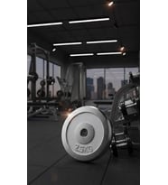 50 KG Dambıl Crom Dambıl 2,5 KG Ağırlık Plaka