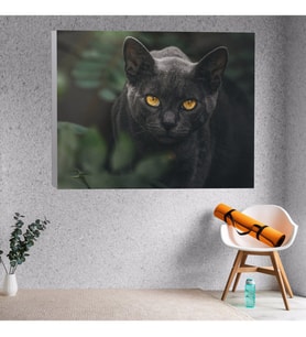 Siyah Kedi Dekoratif Kanvas Tablo