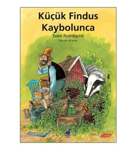 Küçük Findus Kaybolunca