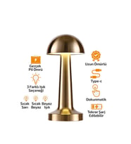 OVAL - METAL MANTAR MASA LAMBASI DOKUNMATİK - RENKLİ TYPE-C ŞARJLI 3 FONKSİYONLU YL86-1231 (5343)