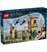 LEGO Harry Potter 76447 Hogwarts Castle: Flying Lessons
