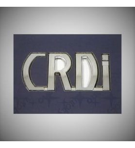 Hyundai CRDI Yazısı ( CRDİ Arka Bagaj Yazısı)