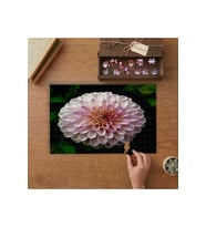 Pembe Yıldız Çiçeği Tasarımı 240 parça Ahşap Puzzle Ahşap Kutuda MP01023