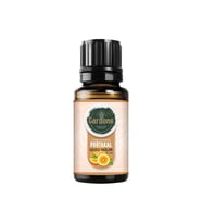 Portakal ( Oda Kokusu Aroma Terapi Buhurdanlık / Difüzör Yağı ) 10 ML