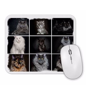 Cats Collection one Mouse Pad.jpg