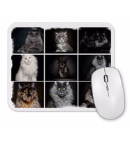 Cats Collection one Mouse Pad.jpg