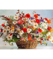  Sayılarla Boyama Seti 40x 50 cm (Tuval Şasesine Gerili)