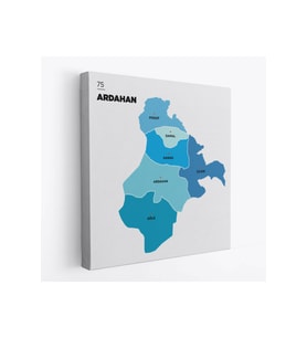 Ardahan   İli ve İlçeler Haritası  Dekoratif Kanvas Tablo 1272