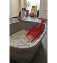 KEDİ PİSLİĞİ TEMİZLEME KÜREĞİ (Kırmızı)