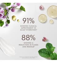 Scalp Saç Derisi Dengeleyici Bakım Kremi 250 Ml