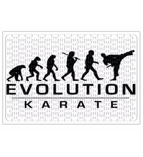 Karate Evolution Puzzle 240 Parça Yapboz