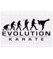 Karate Evolution Puzzle 240 Parça Yapboz