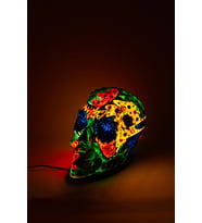 Lumino Skull Wicked (Acrylic) (Çok Renkli)