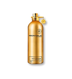 Montale Aoud Damascus EDP 100 ml Kadın Parfümü