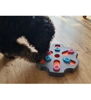Alvera Köpek Zeka Küpü – Kaydırmalı Ödül Saklama Zeka Oyuncağı
