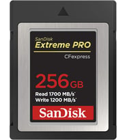 Sandisk Extreme Pro Cfexpress Hafıza Kartı Tip B 256 Gb (1.700 Mb/S Okuma, 1.200 Mb/S Yazma, Rescuep (Çok Renkli)