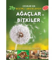 Ağaçlar ve Bitkiler