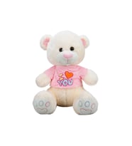 Tişörtlü Peluş Ayı 40 cm