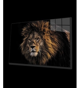 Aslan 9 Cam Tablo