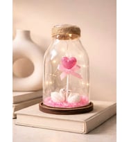 Işıklı Kanatlı Kalp & Romantik Figürler Romantik Fanus Gece Lambası Hediyelik