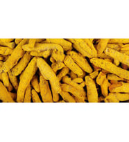 Zerdeçal (Tane) 1 Kg