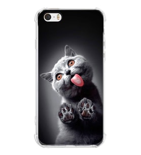 PrintiFy Apple iPhone 5S Uyumlu Kedi 2 Baskılı Şeffaf Köşe Korumalı Antişok Kılıf