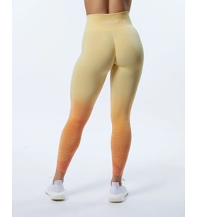 Alphalete Büzgülü Tayt Ombre