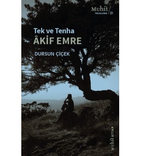 Tek ve Tenha Akif Emre
