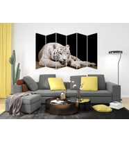 ASLAN MDF TABLO-2350 MODEL-B