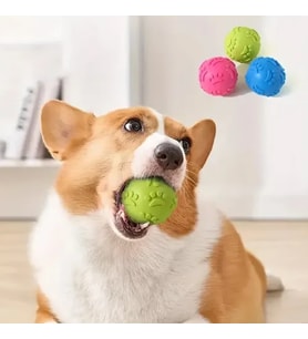 Köpek Isırma Topu Pati Desenli