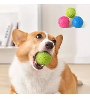 Köpek Isırma Topu Pati Desenli
