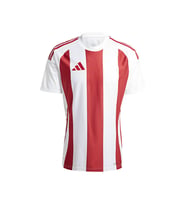 adidas Striped 24 JSY Erkek Futbol Forma IW2142 Renkli (Çok Renkli)