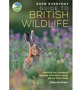 Rspb Everyday Guide To British Wildlife: Identify Our Common Species And Learn More About Their Live