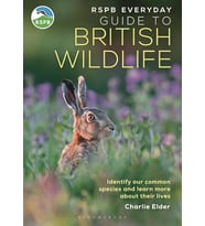 Rspb Everyday Guide To British Wildlife: Identify Our Common Species And Learn More About Their Live