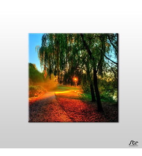 Güneşin Dokunuşu Kanvas Tablo 25x25cm (Karışık)